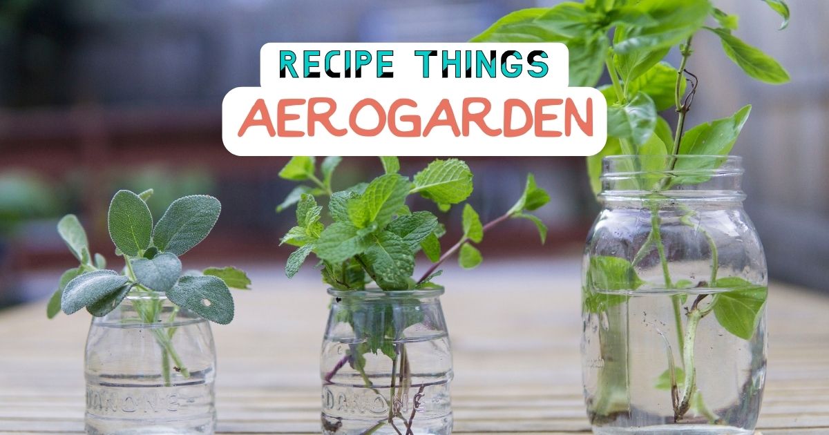 Essential Kitchen Equipment - Aerogarden